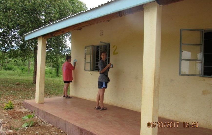 Volunteer in Big Mammals Conservation, Amboseli Ecosystem, Kenya – Starting 2 Wks