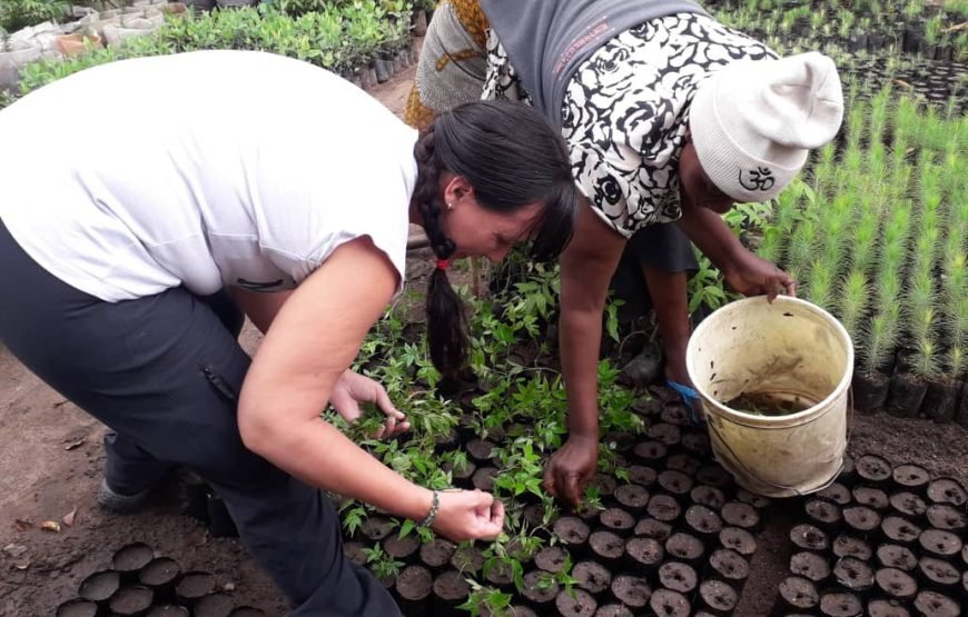 Volunteer in Environment Conservation, Likoni,South Coast – Starting 1 Month