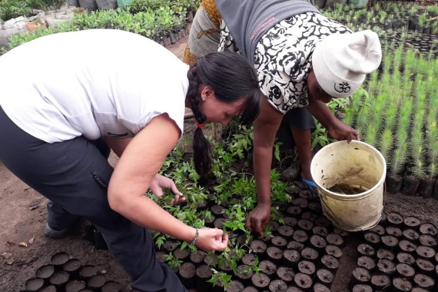 Step by step Kenya volunteering guide