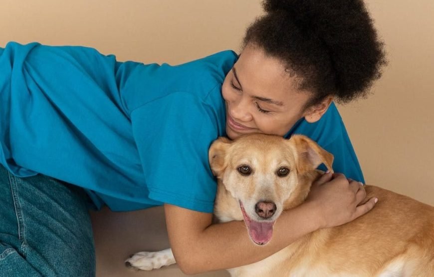 Volunteer as a Vet in Nairobi – Starting 2 Wks