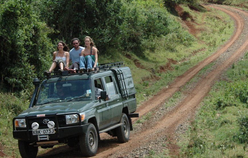 5 Days / 4 Nights Safari to Aberdare, Nakuru, and Amboseli from Nairobi