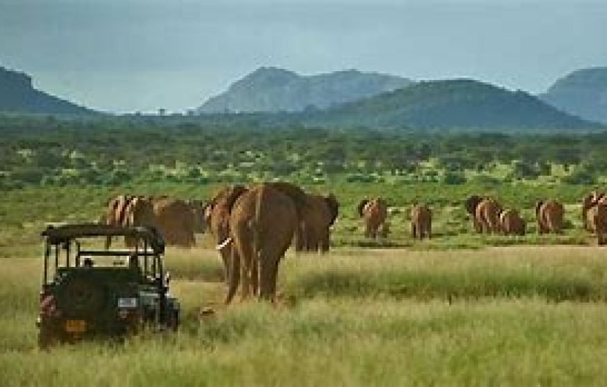 7 Days / 6 Nights Samburu, Lakes Baringo
