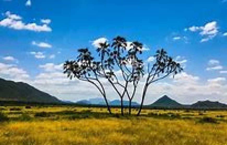 7 Days / 6 Nights Samburu, Lakes Baringo