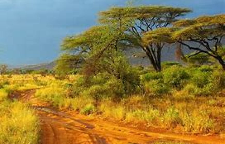 7 Days / 6 Nights Samburu, Lakes Baringo