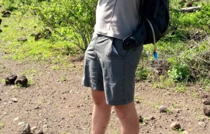 Volunteer in Big Mammals Conservation, Tsavo Ecosystem, Kenya – Starting 2 Wks