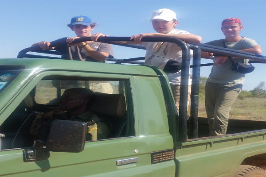 Volunteer in Big Mammals Conservation, Tsavo Ecosystem, Kenya – Starting 2 Wks