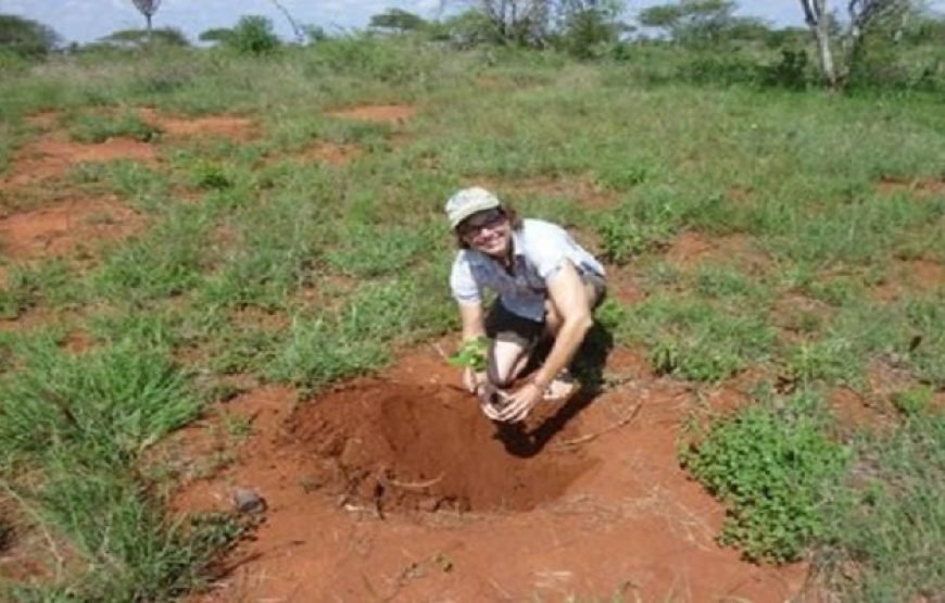 Volunteer in Big Mammals Conservation, Tsavo Ecosystem, Kenya – Starting 2 Wks