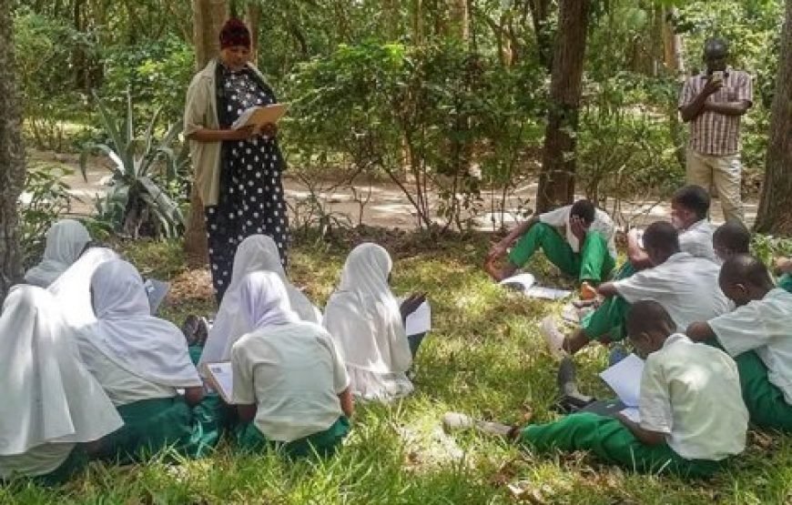 Volunteering in Colobus Monkeys Conservation, Diani – Starting 2 Weeks