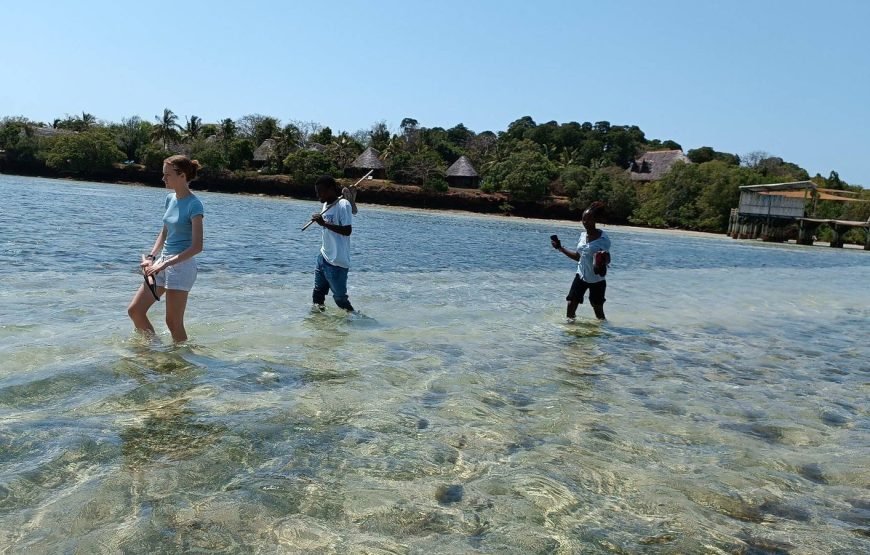 Volunteering in Turtle Conservation, Diani – Starting 2 Wks