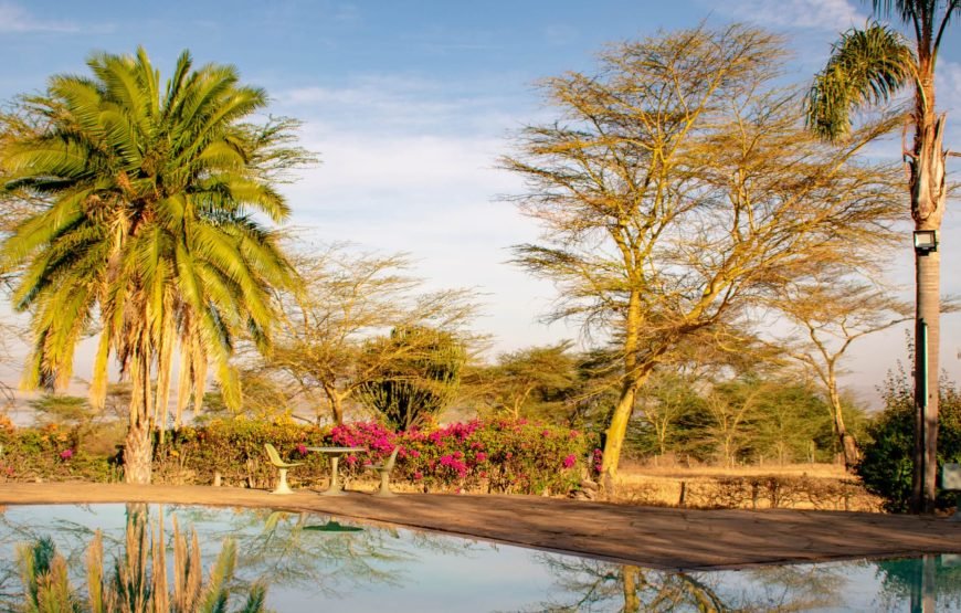 1 Night Safari to Lake Elementaita