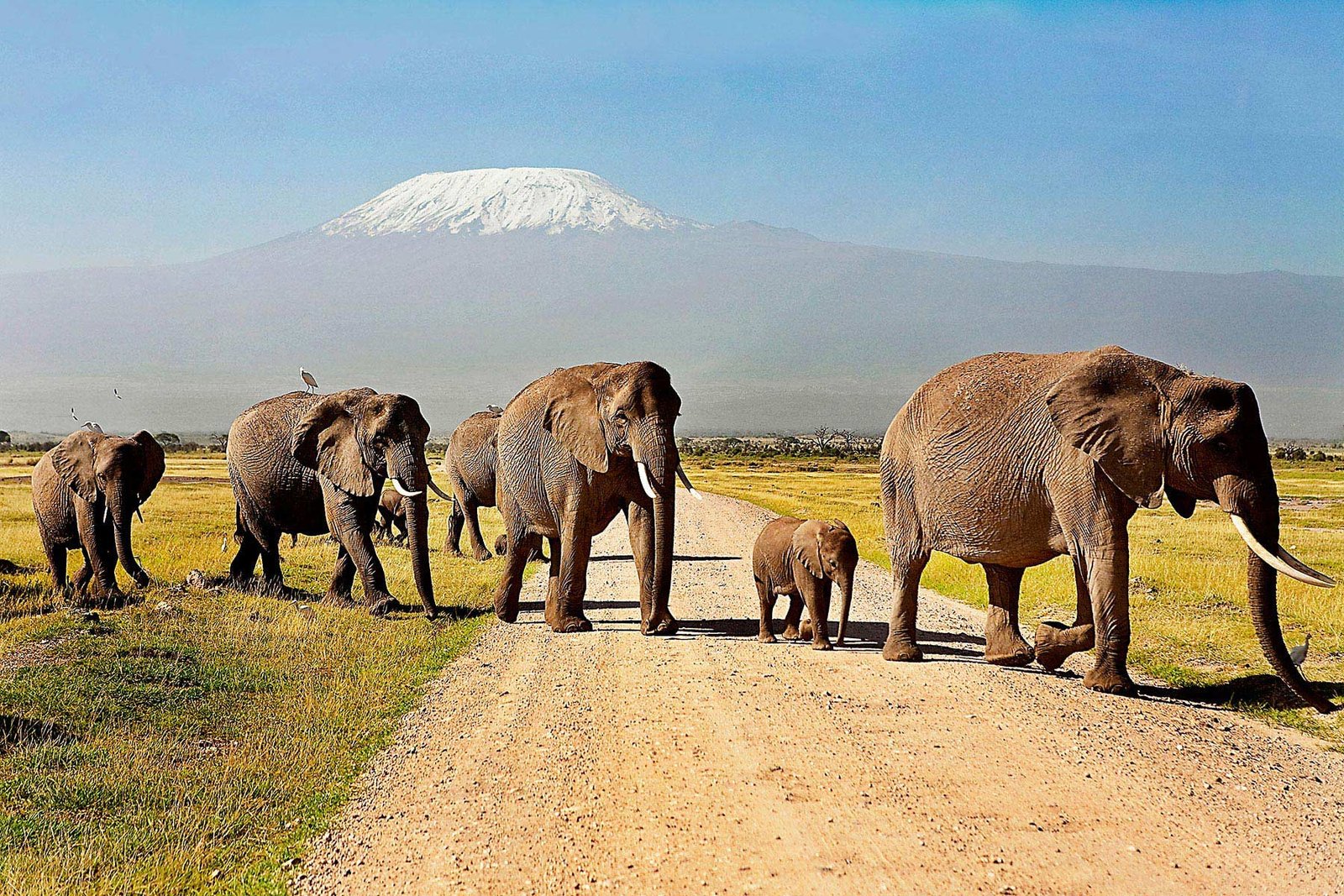 Day 9: North Horr to Marsabit
