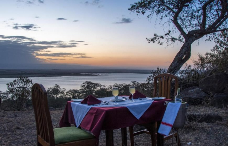 1 Night Safari to Lake Elementaita