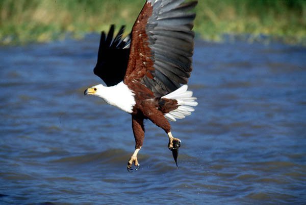 Day 3: Lake Nakuru to Samburu National Reserve