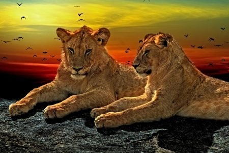 Top Ten Tourist Attractions to Visit in Kenya