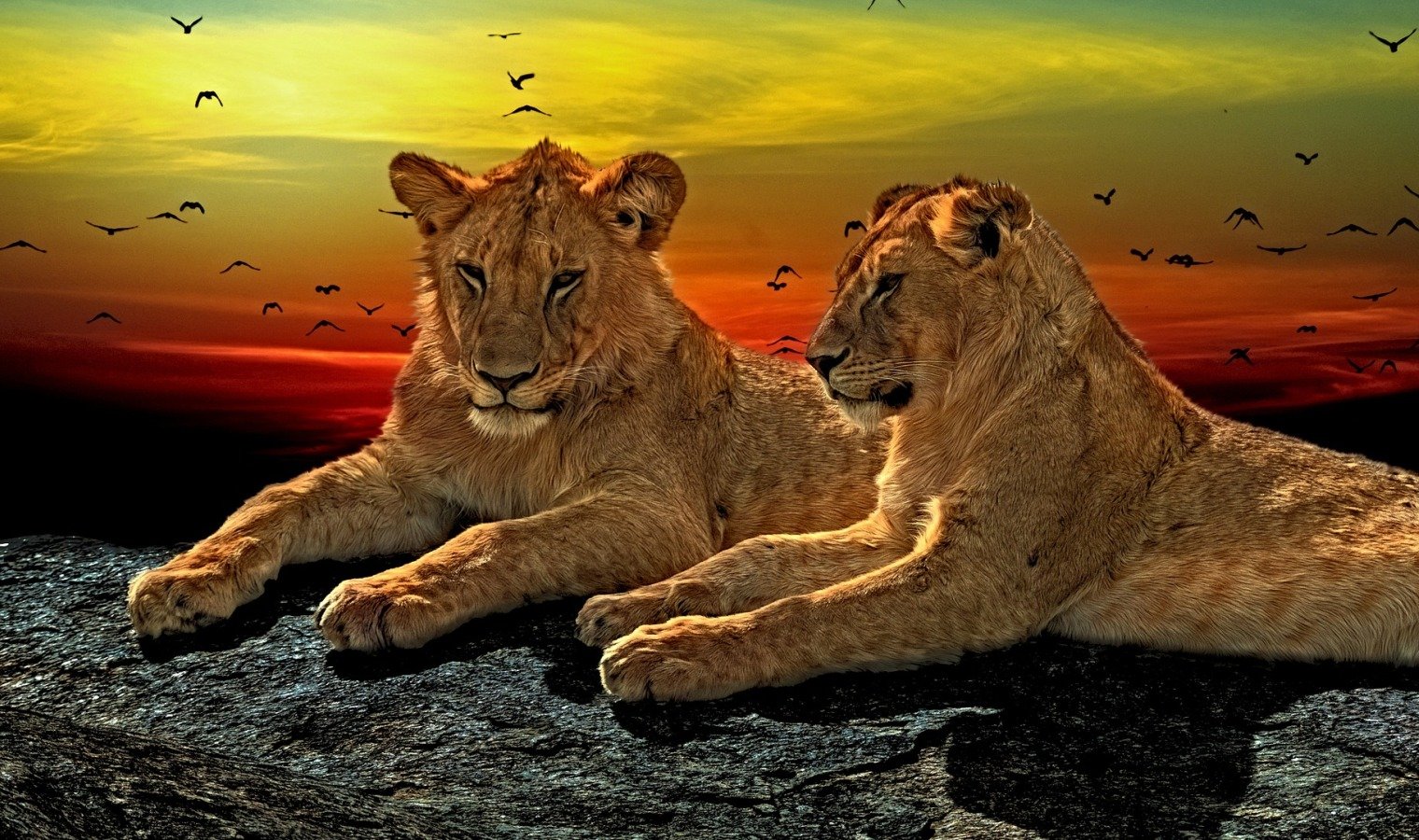 Top Ten Tourist Attractions to Visit in Kenya