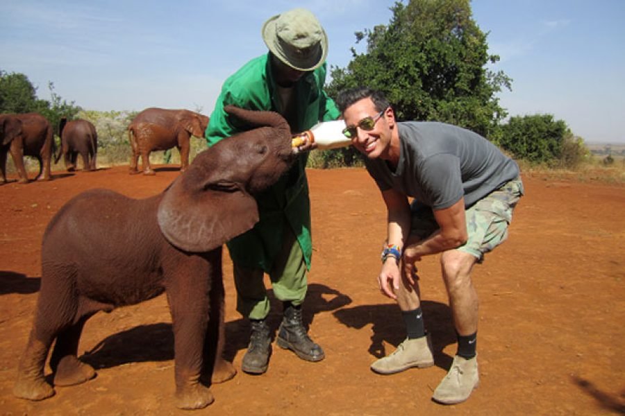 The David Sheldrick Elephant Orphanage Tour