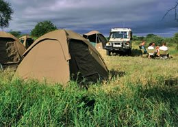 Day 7: Farewell Kenya - From Wilderness to Departure