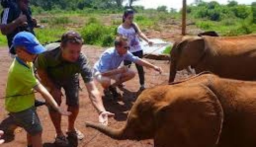 Family-Friendly Safaris: Unforgettable Adventures for All Ages