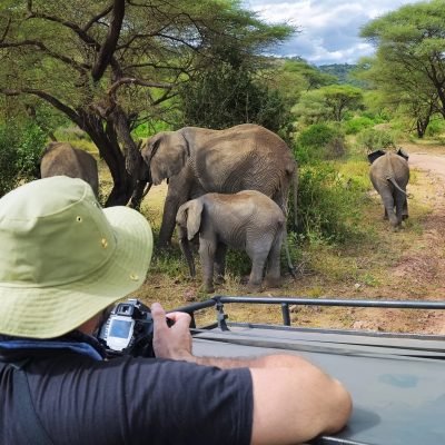 Tanzania Safaris