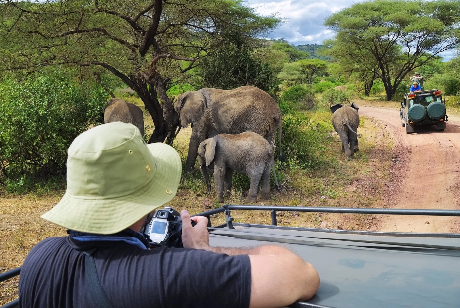 Tanzania Safaris