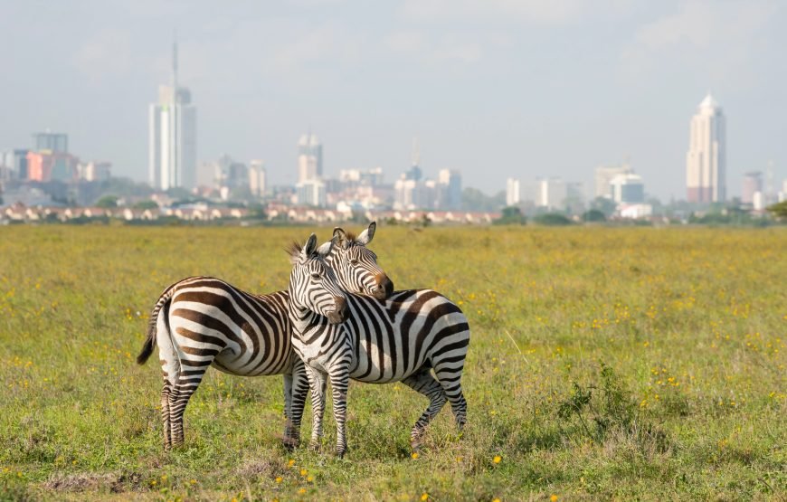 Nairobi National Park, Elephant Orphanage & Giraffe Centre Tour