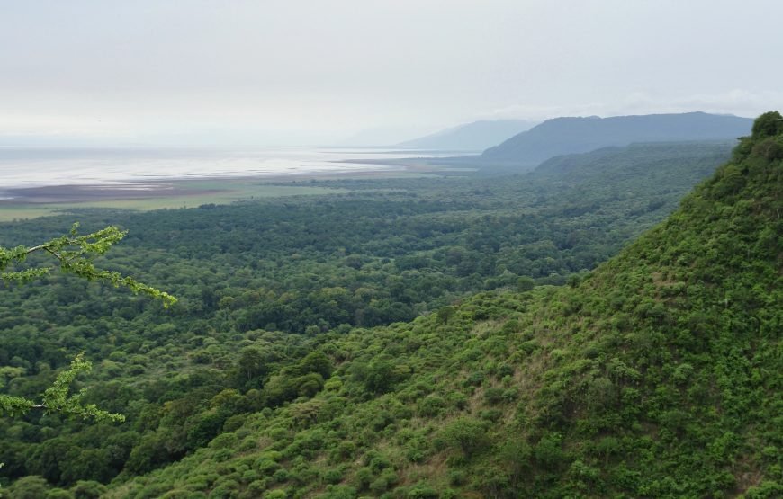 Lake Manyara National Park Day Trip