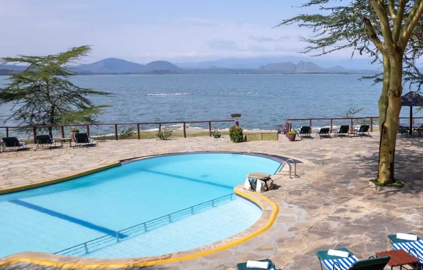 1 Night Safari to Lake Elementaita