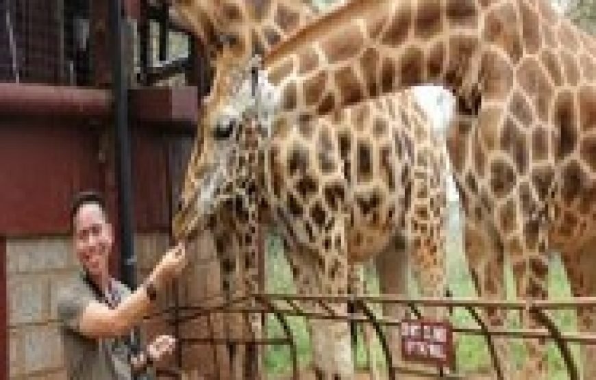 Giraffe Centre and Elephant Orphanage Tour – Half Day