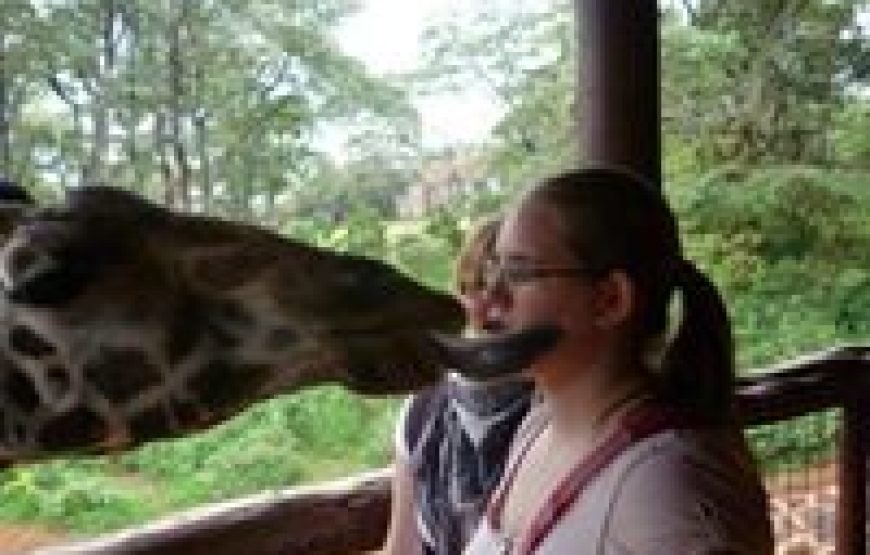 Giraffe Centre and Elephant Orphanage Tour – Half Day