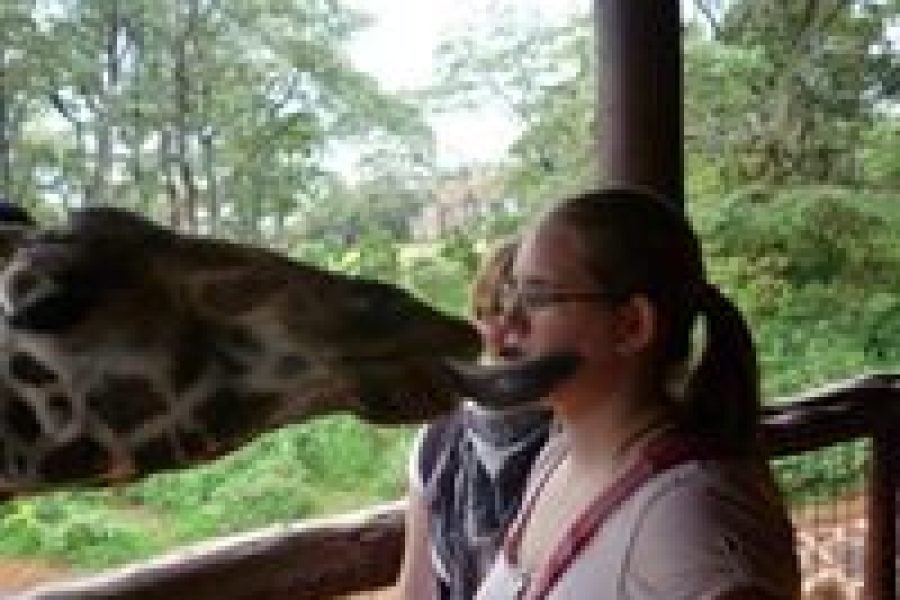 Giraffe Centre and Elephant Orphanage Tour – Half Day