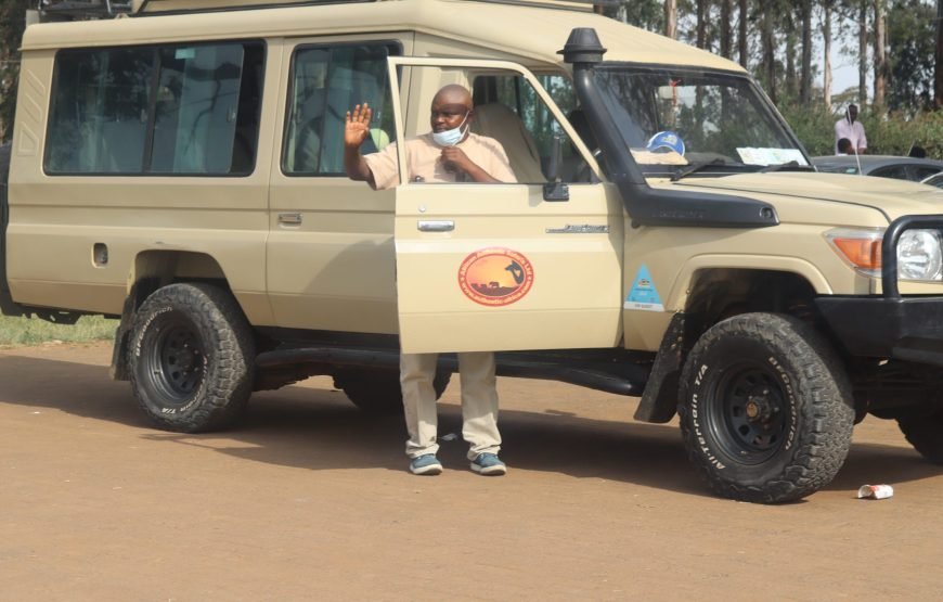 Nairobi National Park, Elephant Orphanage & Giraffe Centre Tour
