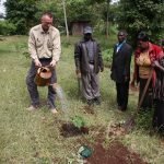 Sustainable ecotourism safari in Kenya with elephants and acacia trees at sunset