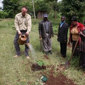 Sustainable ecotourism safari in Kenya with elephants and acacia trees at sunset