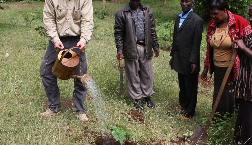 Sustainable ecotourism safari in Kenya with elephants and acacia trees at sunset