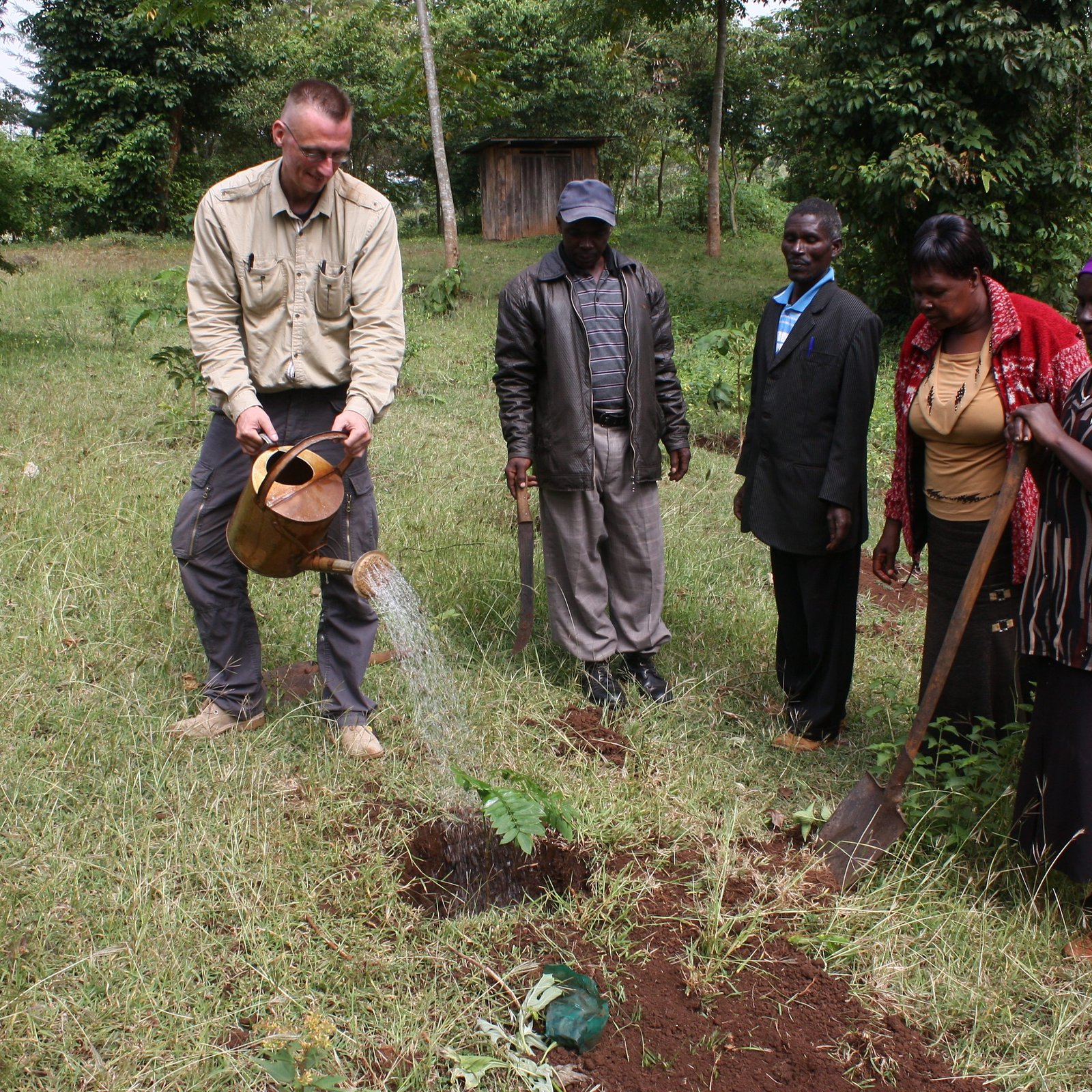 Sustainable ecotourism safari in Kenya with elephants and acacia trees at sunset