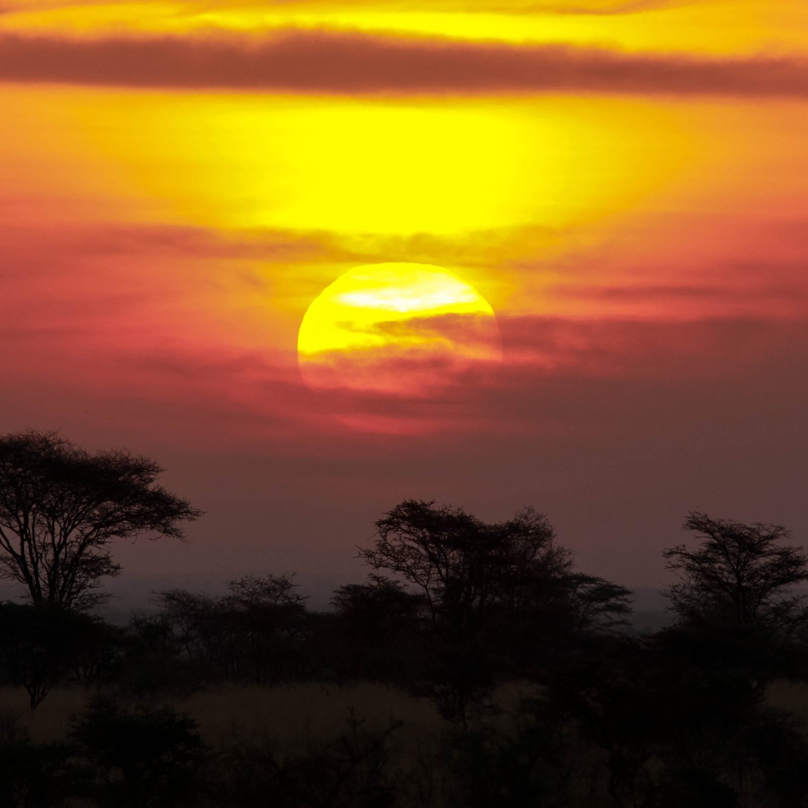 Day 2: Full Day Exploring Meru National Park