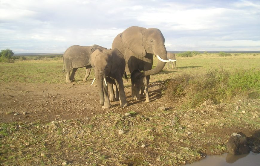 9 Days / 8 Nights Wings over Kenya Luxury Flying Safari Package