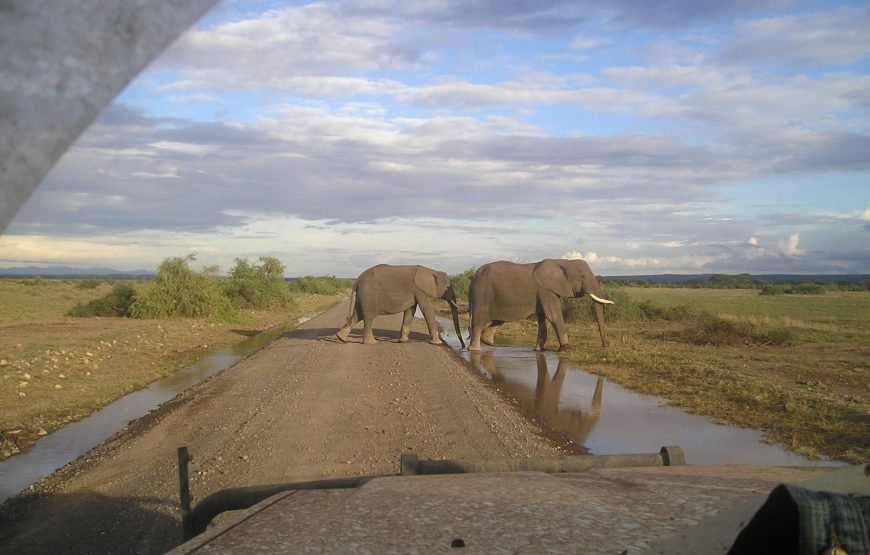 8 Days / 7 Nights Wildebeest Migration Safari