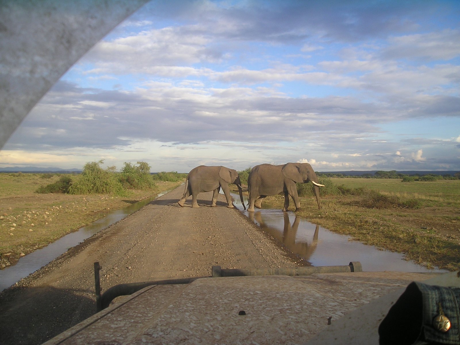 Day 8: Proceed to Masai Mara Game Reserve