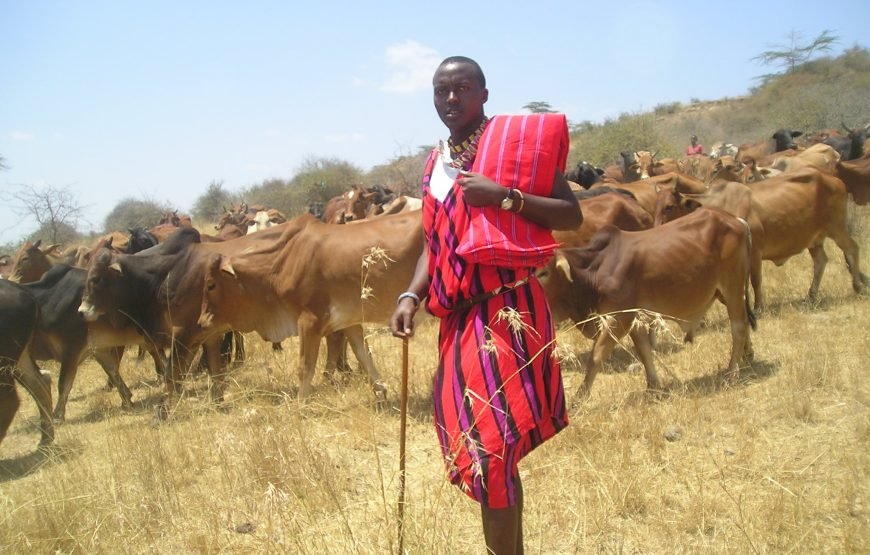 8 Days / 7 Nights Kenyan Family Safari Holiday