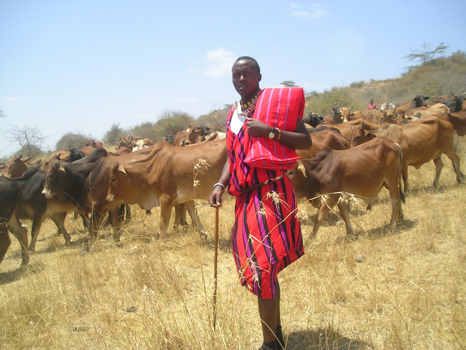 Day 2: Tsavo East to Amboseli National Park via Tsavo West