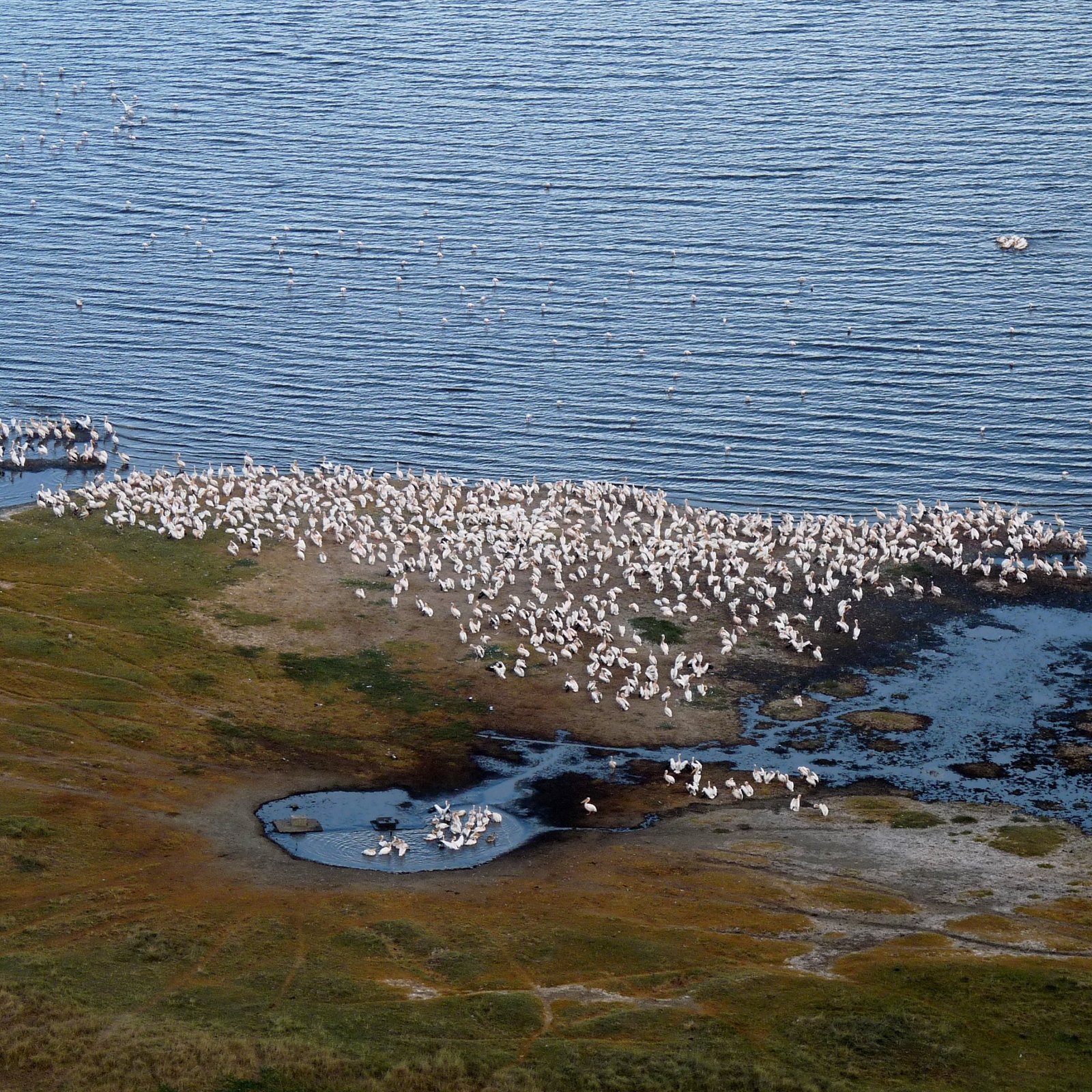 Day 5: Amboseli to Nairobi