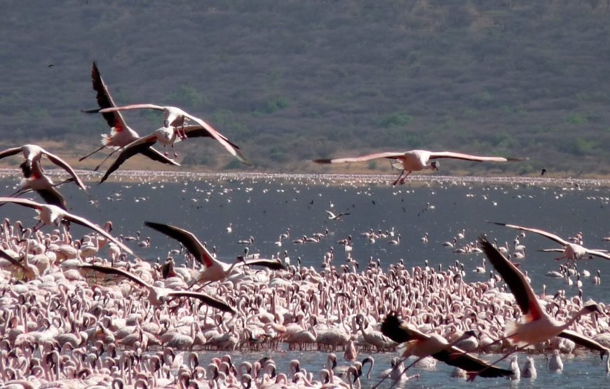 11 Days / 10 Nights Kenya Wildlife & Culture Photography Safari