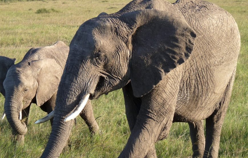 11 Days / 10 Nights Kenya Cultural Photography Safari