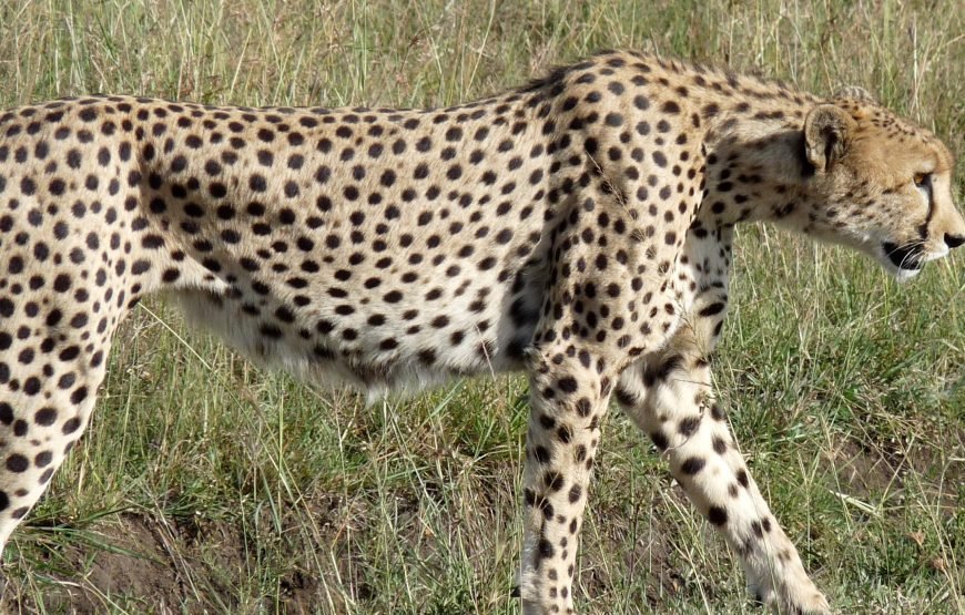14 Days / 13 Nights Kenya Adventure Photography Safari
