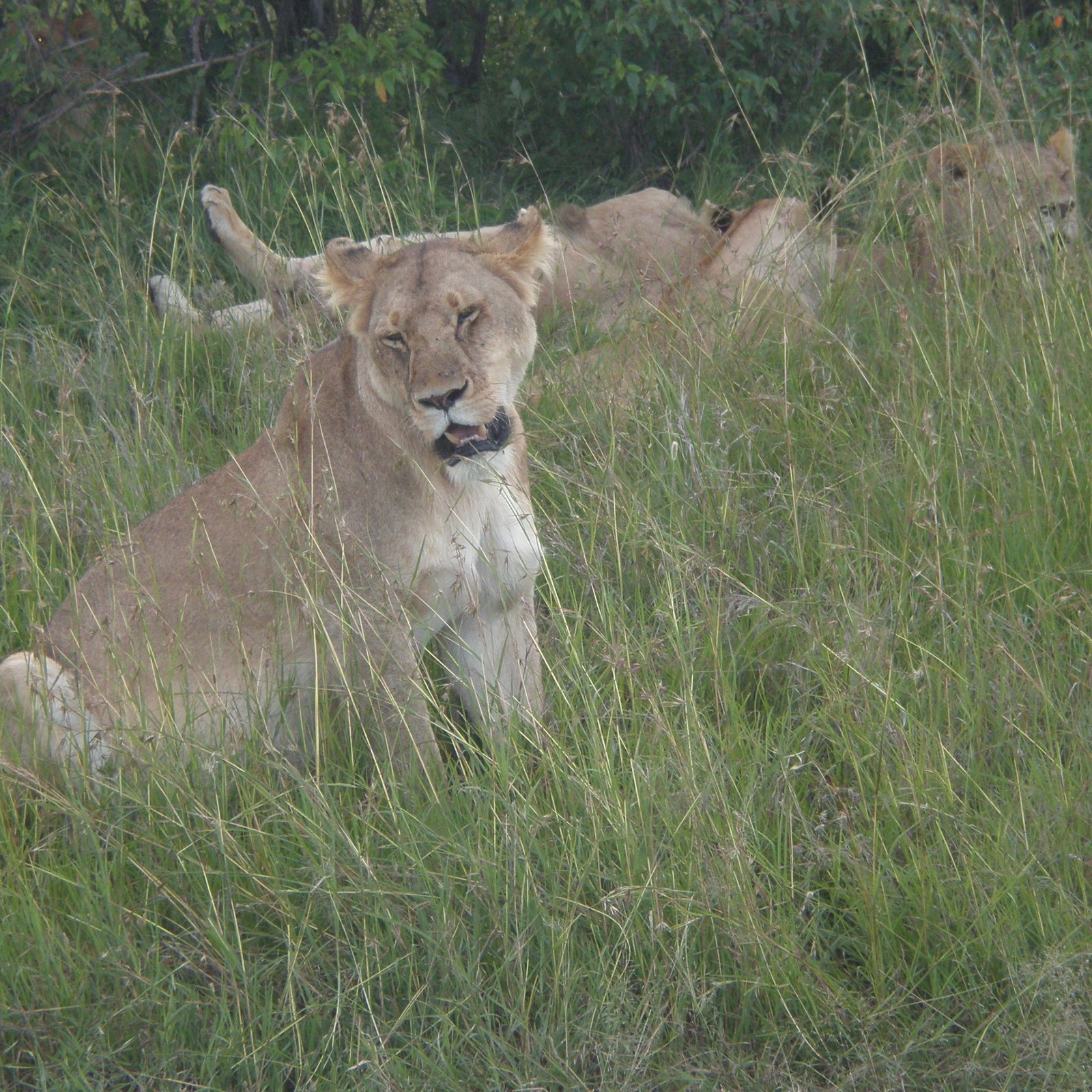 Day 1: Nairobi to Samburu National Reserve