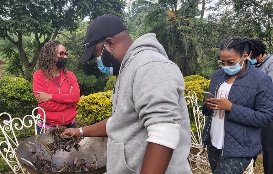 Purple / Specialty Teas Day Tour in Nairobi