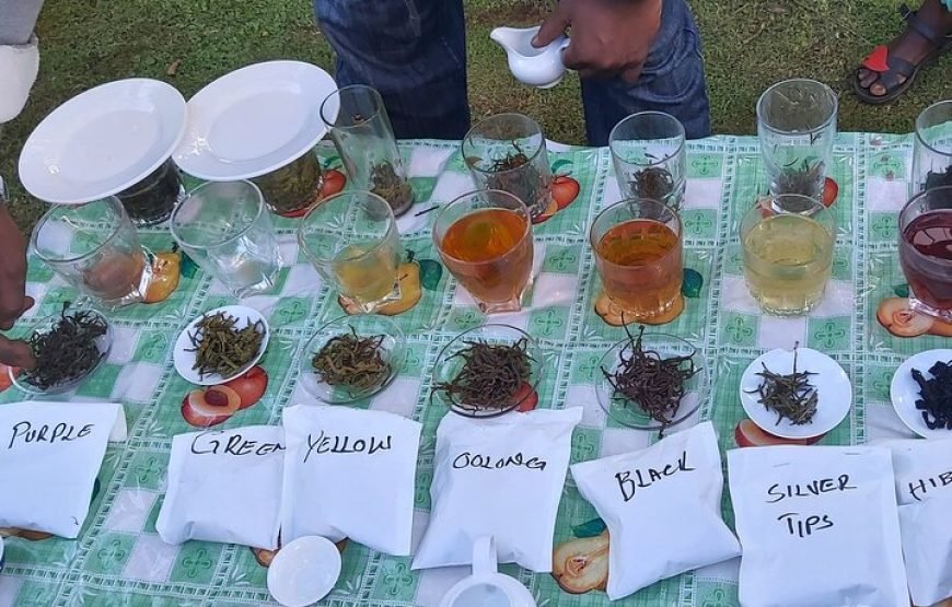 Purple / Specialty Teas Day Tour in Nairobi