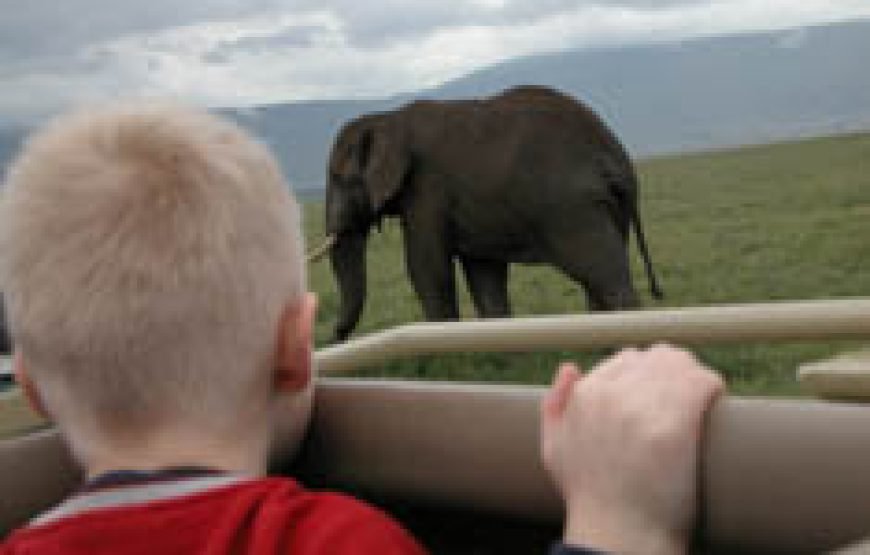 4 Days / 3 Nights Lake Nakuru & Maasai Mara Safari from Nairobi