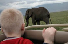 Day 4: Amboseli to Lake Naivasha